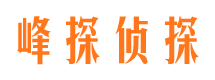 泌阳找人公司